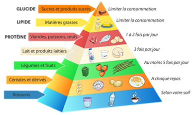 Equilibre alimentaire : comment bien manger pour être en forme ?